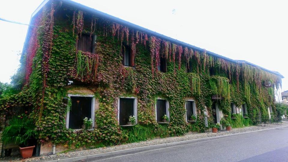 ホテル Principato Di Ariis Rivignano エクステリア 写真